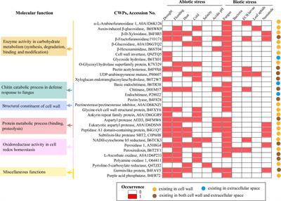 Digging for Stress-Responsive Cell Wall Proteins for Developing Stress-Resistant Maize